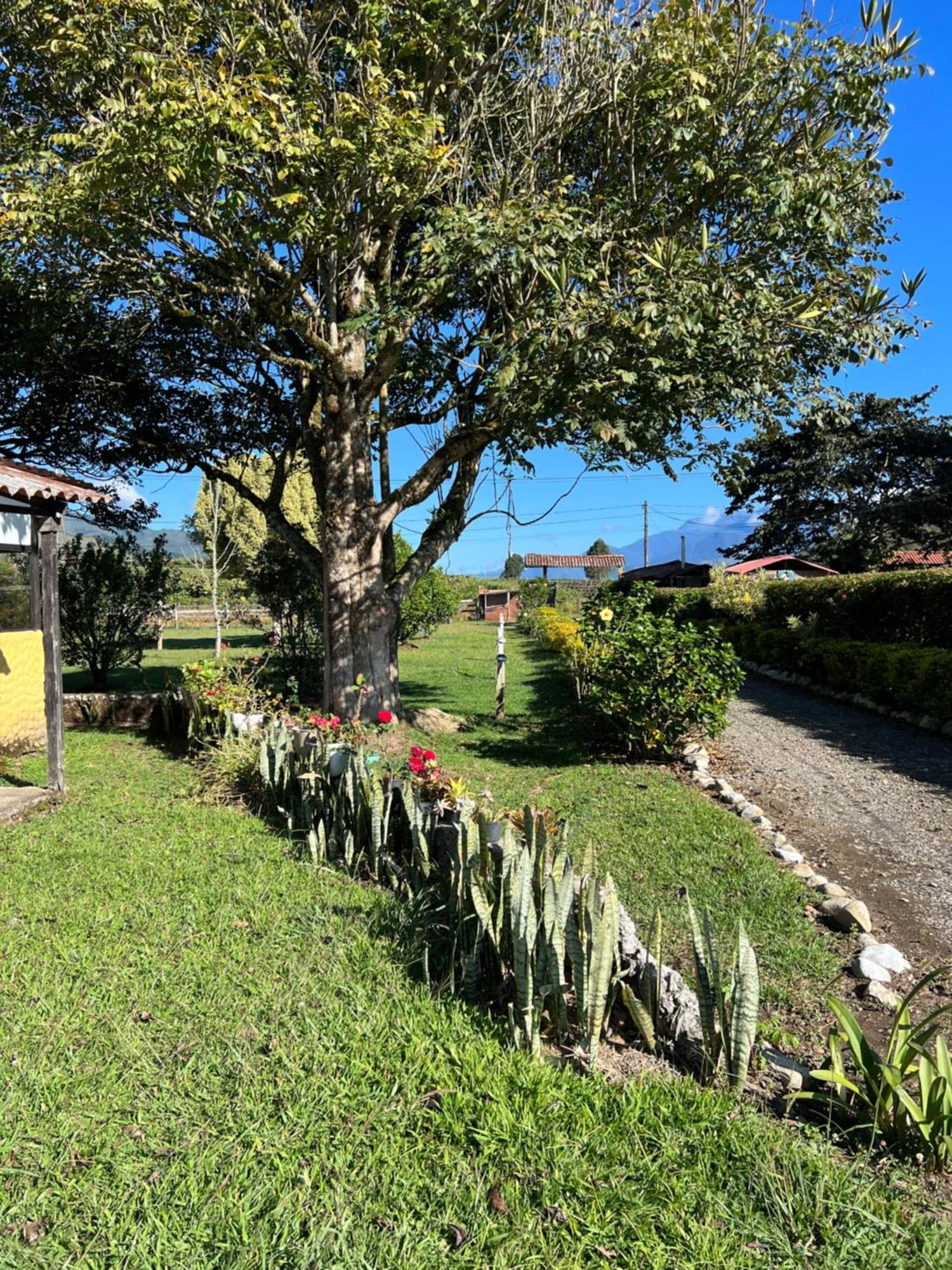 Finca Hotel Paraiso Urrao Exteriör bild