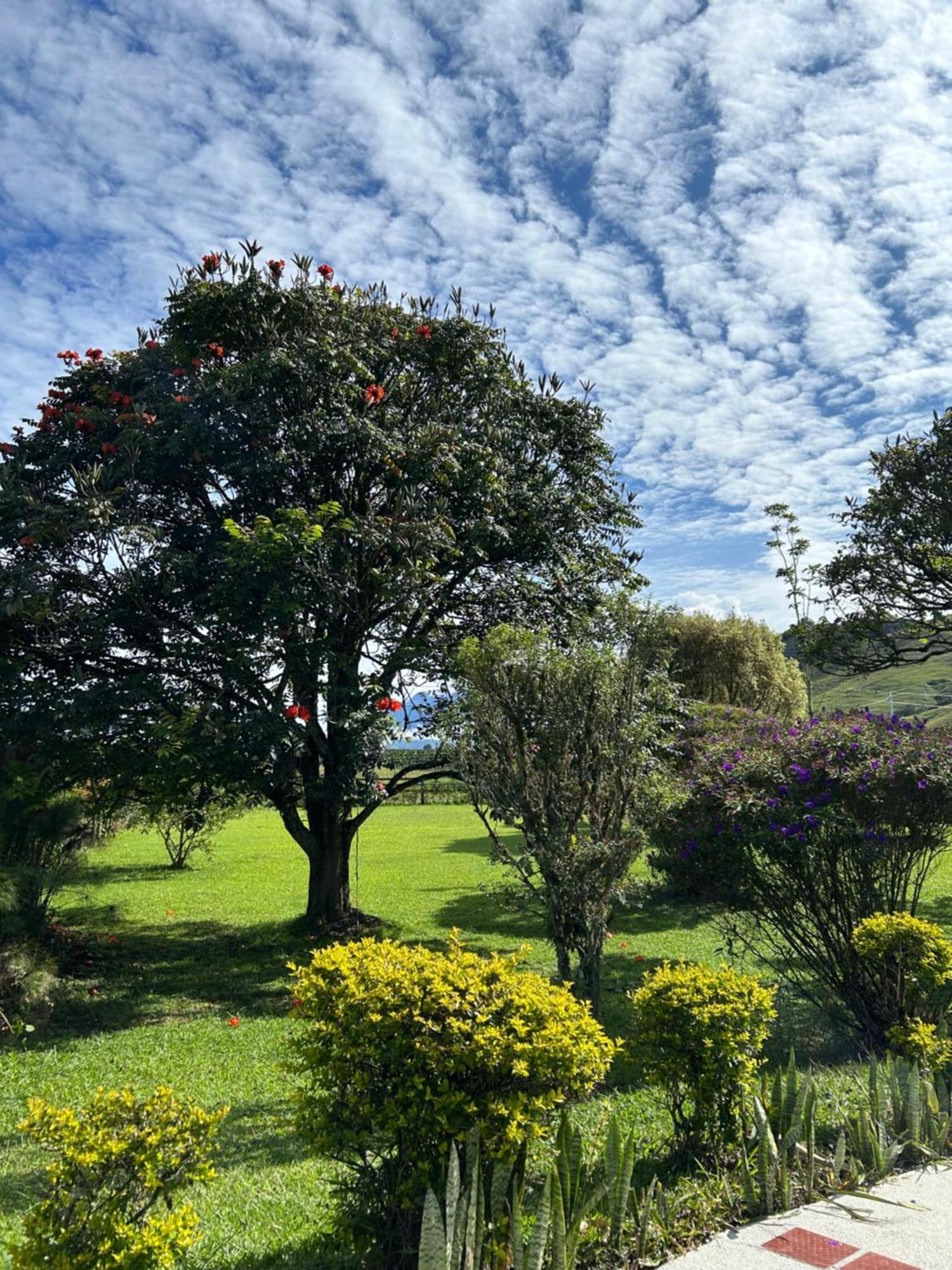 Finca Hotel Paraiso Urrao Exteriör bild